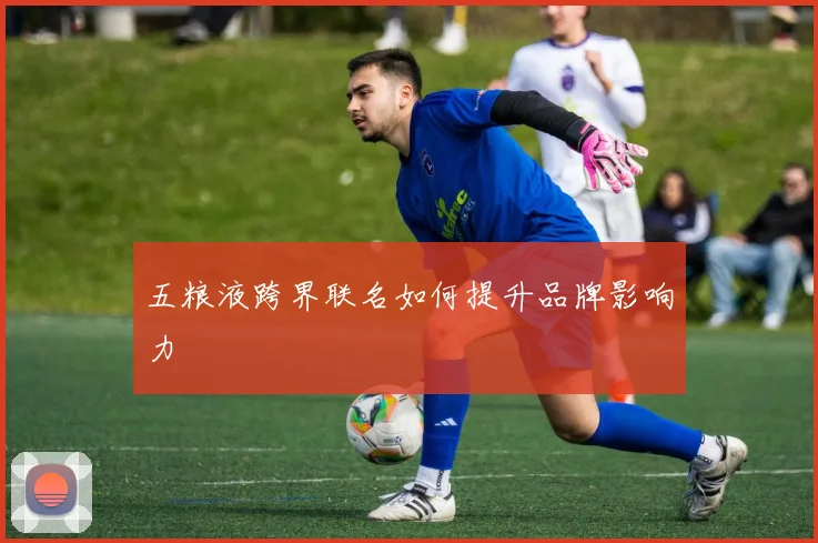 五粮液跨界联名如何提升品牌影响力