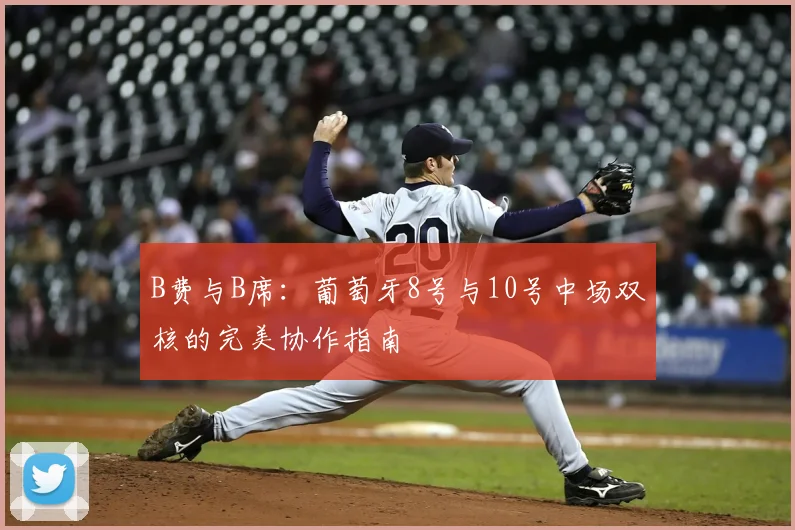 B费与B席：葡萄牙8号与10号中场双核的完美协作指南